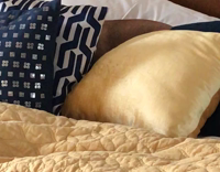 Dog peeks when owner calls