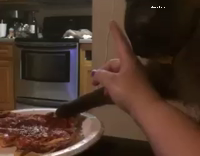 Black cat tries to s teal pizza