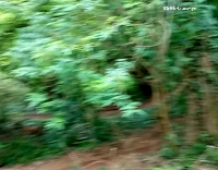 Bike Frontflip Into Brambles
