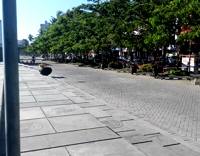 Collab The Best Fails - Stunt Bike Ends in Tragedy