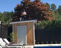 chug beer bellyflop in pool