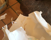 Couch Dog Guilty About Ripping Sack