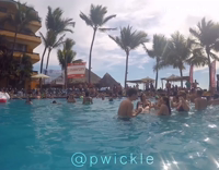 Guy Catches Beer In Cup In Pool