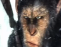 Guy Head Butts Planet of the Apes Movie Poster Bus Stop