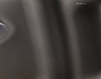 Tim Hortons Guy Excited By Dog