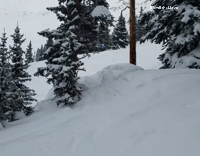Blue Snowboarder Jumps Into Tree Branch