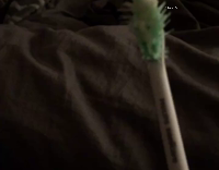 Dog hates electronic toothbrush