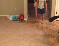 Toddler Cartwheel Faceplant Fail 