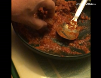 White and Grey Cat Reaches For Meatball