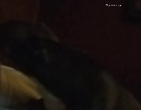 dog howling with owner