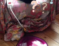 Collab AnimalsDT - Cat Is Confused By Mini Vacuum