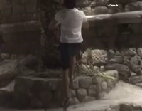 Man Tries hanging From Palm Trees and Falls On Concrete Blocks