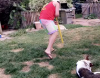 Red tank top sun glasses dizzy bat