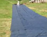 Unicorn Floaty Rolls Over Two Guys