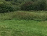 Guy Kicks Cake In Middle Of Grassy Field 