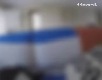 Collab AnimalsDT - Brown Dog Jumping Up And Down