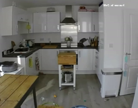 Cat Draggin Paper Towels Around Empty Kitchen
