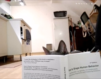 cat reading book like human