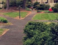 Guy rides bike with no breaks runs into fence