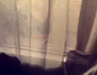 Random guy on porch downwards dog