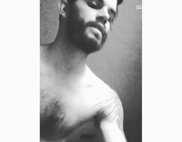 cat saying hello to camera 