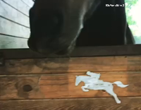 Horse Shakes His Mouth Back and Forth