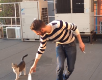 Collab AnimalsDT - Cat Chasing Toilet Paper