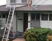 jump green house to table