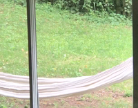 Squirrels found a new home 