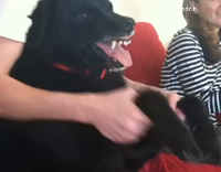 Don't try to hold his paws.