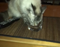 When you try to get the last drop 