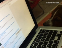 Dog tries to bite and bark at mouse cursor