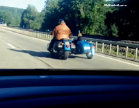 Dog sitting in blue two person motorcycle