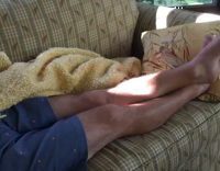 bulldog comes out of yellow blanket