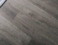 dog wag tail lay on back