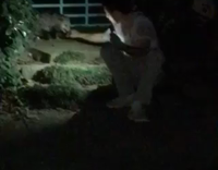 possum bites guy trying to pet it