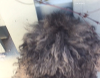 Black dog staring at cat laying down through tiny hole in fence