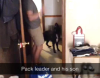 dog and male owner howl together