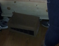 Broski You Should Probably Lay Down