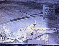 Security cameras girl trex leg wrestle