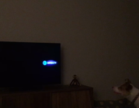 Dog barks at DirectTV icon on tv