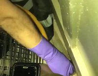 man eats roach and beer