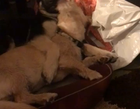 Best
 Buds
 relaxing
 and
 having
 fun 