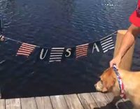 Dog Harrasser Gets Instant Justice 