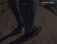 White Dog Lion King Held Up