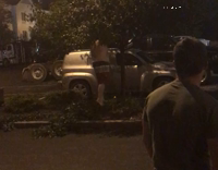 guy trying to climb tree falls down