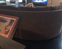 Dog stares after owner gets up from the couch.