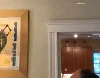 Slow motion guy throws white dog and catches