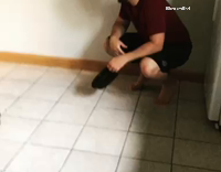 Dog Feels Guilty After Stealing Food