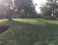 Dog Drives Bulldozer To Fifty Cent